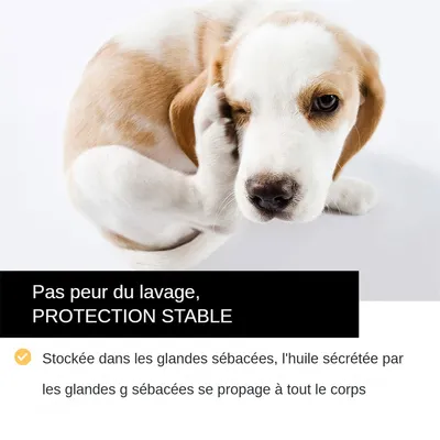 MCBOSON Gouttes antiparasitaires