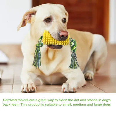 Jouets de mâche pour chien En forme de maïs