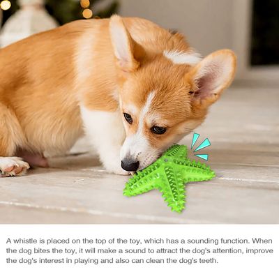 Jouets pour chien En forme d'étoile de mer