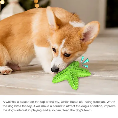 Jouets pour chien En forme d'étoile de mer