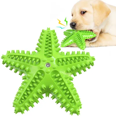 Jouets pour chien En forme d'étoile de mer