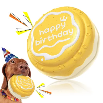 Jouets pour mâcher pour chien Gâteau d'anniversaire Jouets pour mâcher pour chien Gâteau d'anniversaire