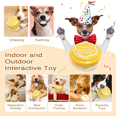 Jouets pour mâcher pour chien Gâteau d'anniversaire