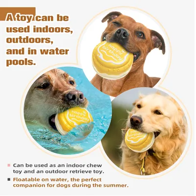 Jouets pour mâcher pour chien Gâteau d'anniversaire
