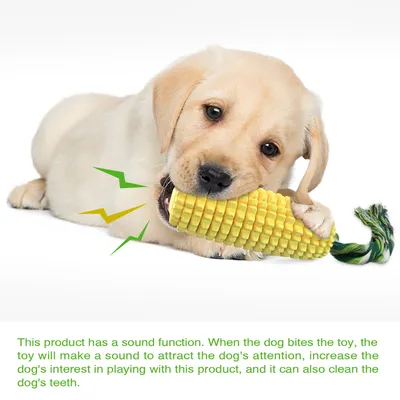 Jouets de mâche pour chien En forme de maïs