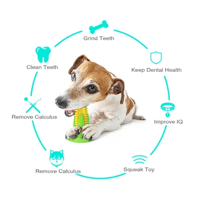 Jouets de mâche pour chien En forme de maïs