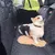 CoolPetGear Coussin pour banquette arrière de voiture pour chiens