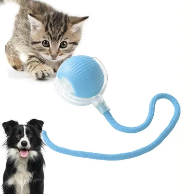 IntiMeg Balle interactive avec corde pour chat
