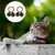 MCBOSON Accessoires de cloche pour chien, super fort, 2 pièces MCBOSON Accessoires de cloche pour chien, super fort, 2 pièces