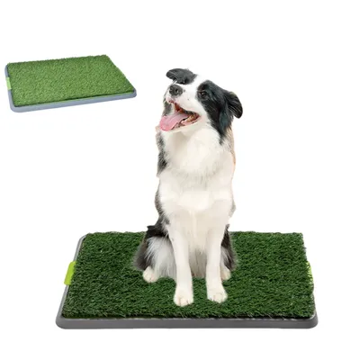 Toilette pour chien CoolPetGear Lawn Large