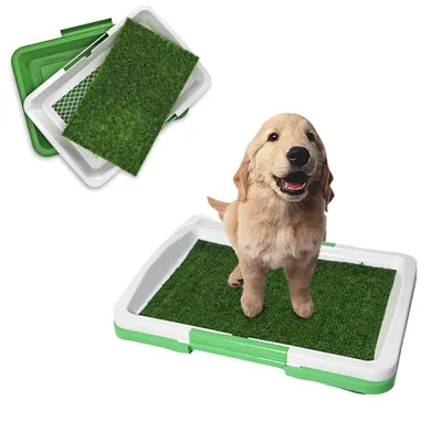 Toilette pour chien CoolPetGear Lawn