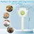 Brosse pour animaux de compagnie Bouton de nettoyage