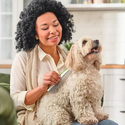 Peigne pour chien et chat - Dents en acier inoxydable