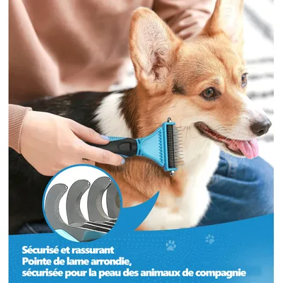 Brosse de toilettage pour chien & Peigne à démêler pour chat