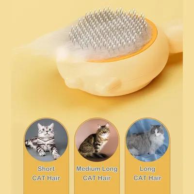 Brosse pour animaux de compagnie Bouton de nettoyage