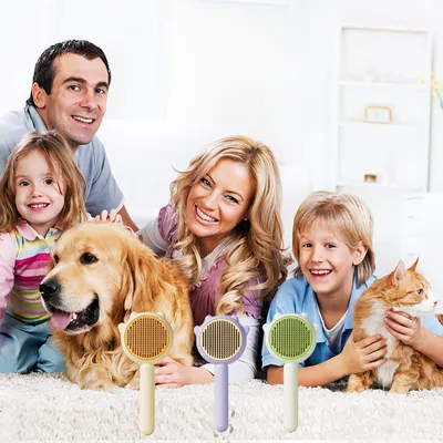 Brosse pour animaux de compagnie Bouton de nettoyage