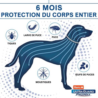 PetArmor Collier anti-puces et tiques pour chien