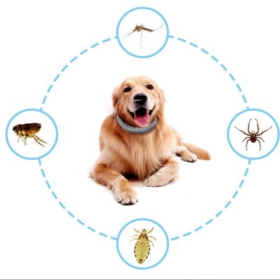 IntiMeg Collier antiparasitaire ajustable