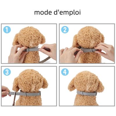 MCBOSON Flohhalsband für Hunde
