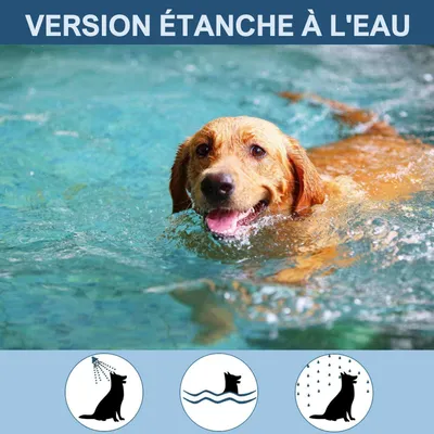 PetArmor Collier anti-puces et tiques pour chien