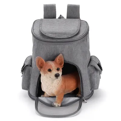 Pet Planet Sac à dos pour animaux de compagnie Pet Planet Sac à dos pour animaux de compagnie