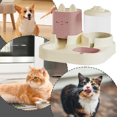 Ensemble distributeur d'eau et de nourriture pour chat et chien