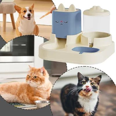 Ensemble distributeur d'eau et de nourriture pour chat et chien