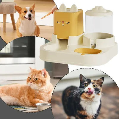 Ensemble distributeur d'eau et de nourriture pour chat et chien