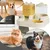 Ensemble distributeur d'eau et de nourriture pour chat et chien