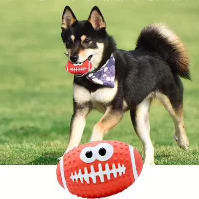 Jouets de dentition pour chien - Jouets à balles - 4 pièces