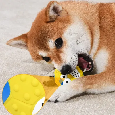 Jouets de dentition pour chien - Jouets à balles - 4 pièces