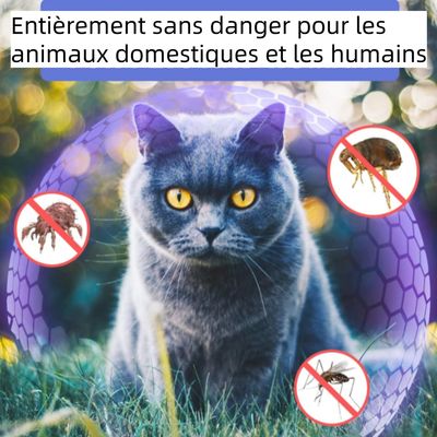 CoolPetGear Collier anti-insectes réglable pour chat