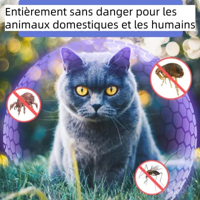 CoolPetGear Collier anti-insectes réglable pour chat