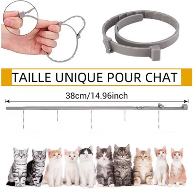 CoolPetGear Collier anti-insectes réglable pour chat