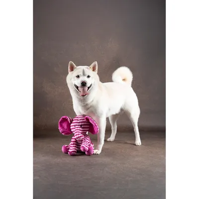 Jouet Azor Éléphant Rose H 28 cm pour chien