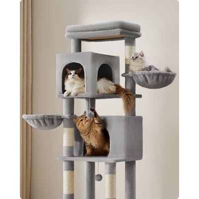 Feandrea Arbre à Chat, Grand, avec 2 Niches, 2 Paniers, 5 Griffoirs