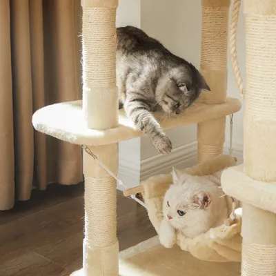 FEANDREA Arbre à Chat Hauteur de 164 cm Multi-Niveaux avec Bol