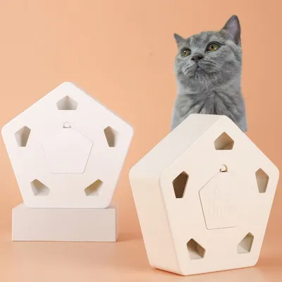 Jouet d'intérieur automatique pour chat CoolPetGear