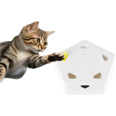 Jouet d'intérieur automatique pour chat CoolPetGear