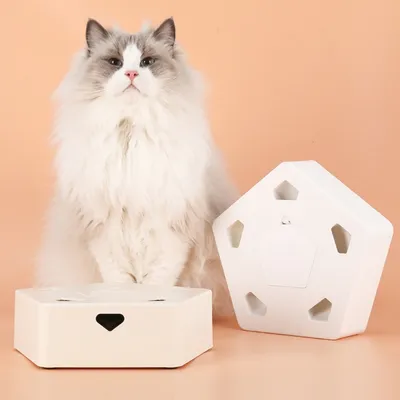 Jouet d'intérieur automatique pour chat CoolPetGear
