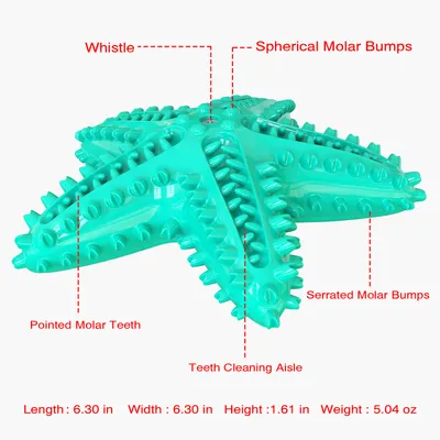 Jouets pour chien En forme d'étoile de mer