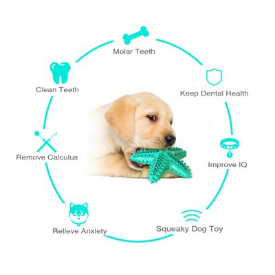 Jouets pour chien En forme d'étoile de mer