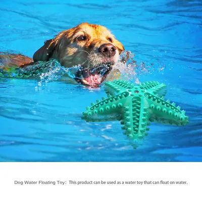 Jouets pour chien En forme d'étoile de mer