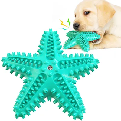 Jouets pour chien En forme d'étoile de mer
