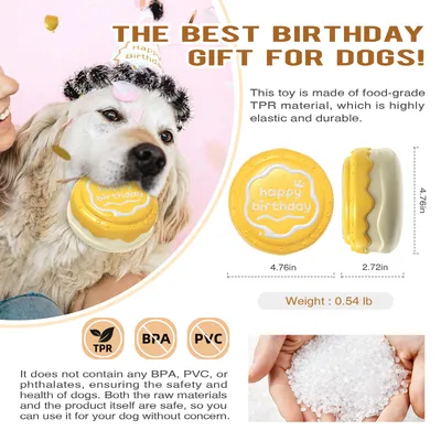 Jouets pour mâcher pour chien Gâteau d'anniversaire