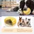 Jouets pour mâcher pour chien Gâteau d'anniversaire