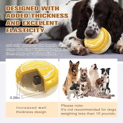 Jouets pour mâcher pour chien Gâteau d'anniversaire