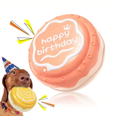Jouets pour mâcher pour chien Gâteau d'anniversaire