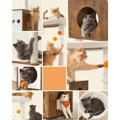 Feandrea Arbre à Chat Moderne avec Cache-litière, Tour de Jeu Feandrea Arbre à Chat Moderne avec Cache-litière, Tour de Jeu
