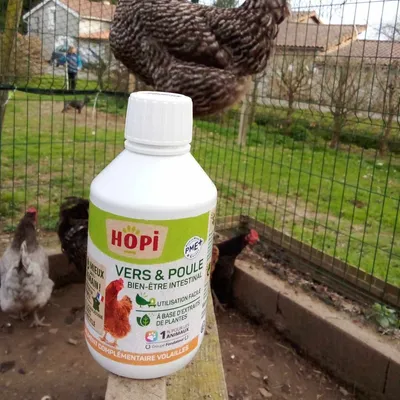 HOPI Aliment complémentaire Volailles-Confort Intestinal-Fabriqué en France HOPI Aliment complémentaire Volailles-Confort Intestinal-Fabriqué en France
